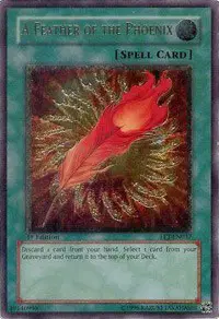 A Feather of the Phoenix