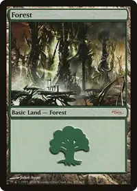 Forest