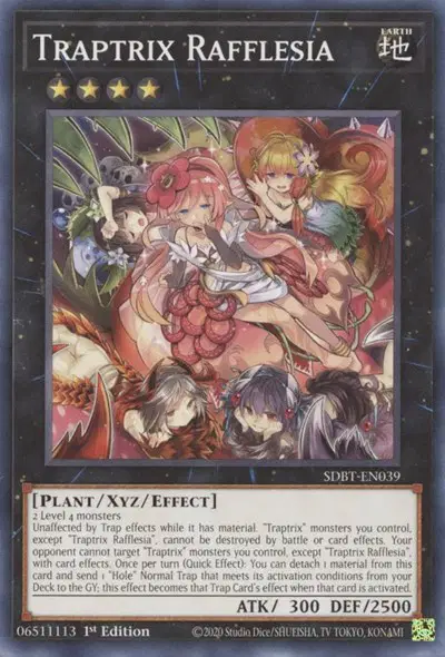 Traptrix Rafflesia