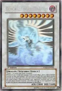 Black-Winged Dragon