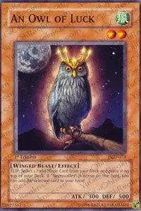 An Owl of Luck