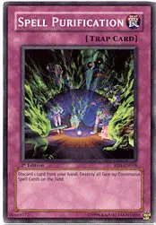 Spell Purification