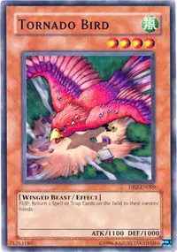 Tornado Bird