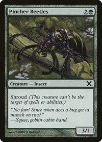 Pincher Beetles