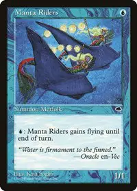 Manta Riders