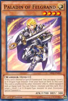 Paladin of Felgrand