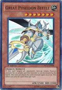 Great Poseidon Beetle