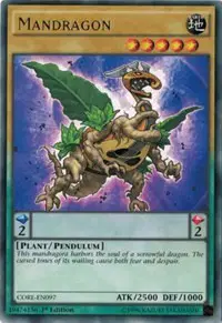 Mandragon