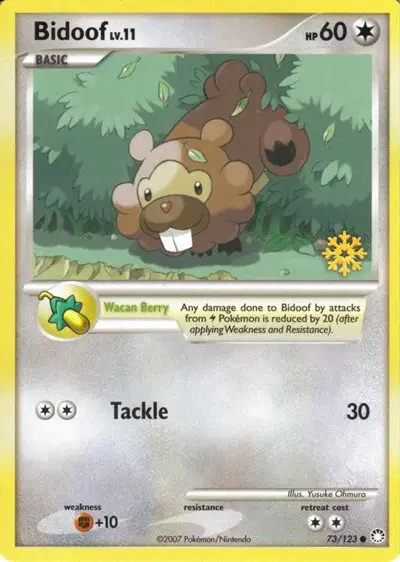 Bidoof Lv.11