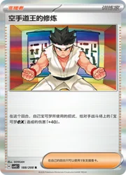 Black Belt's Training