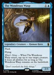 The Wondrous Wasp