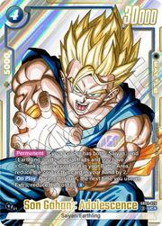 Son Gohan : Adolescence