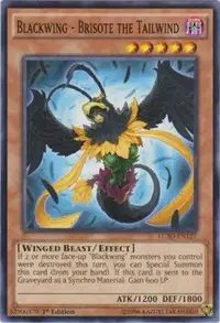 Blackwing - Brisote the Tailwind