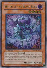 Witch of the Black Rose