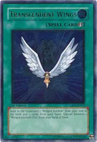 Transcendent Wings
