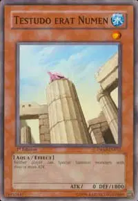 Testudo Erat Numen