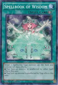 Spellbook of Wisdom