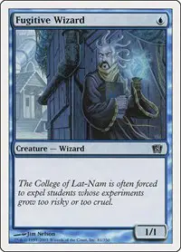 Fugitive Wizard