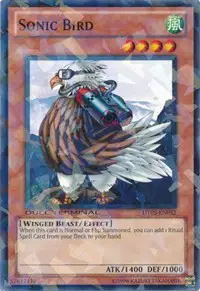 Sonic Bird