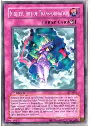 Ninjitsu Art of Transformation