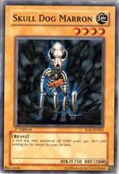 Skull Dog Marron
