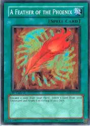 A Feather of the Phoenix