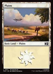 Plains