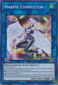 Harpie Conductor