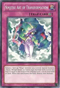 Ninjitsu Art of Transformation