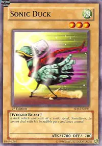 Sonic Duck