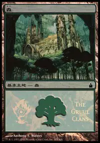Forest