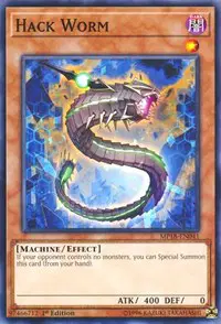 Hack Worm