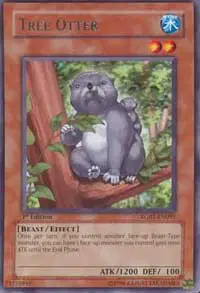 Tree Otter