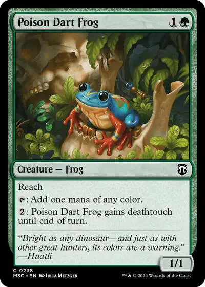 Poison Dart Frog