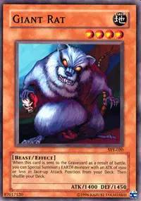 Giant Rat