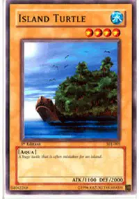 Island Turtle