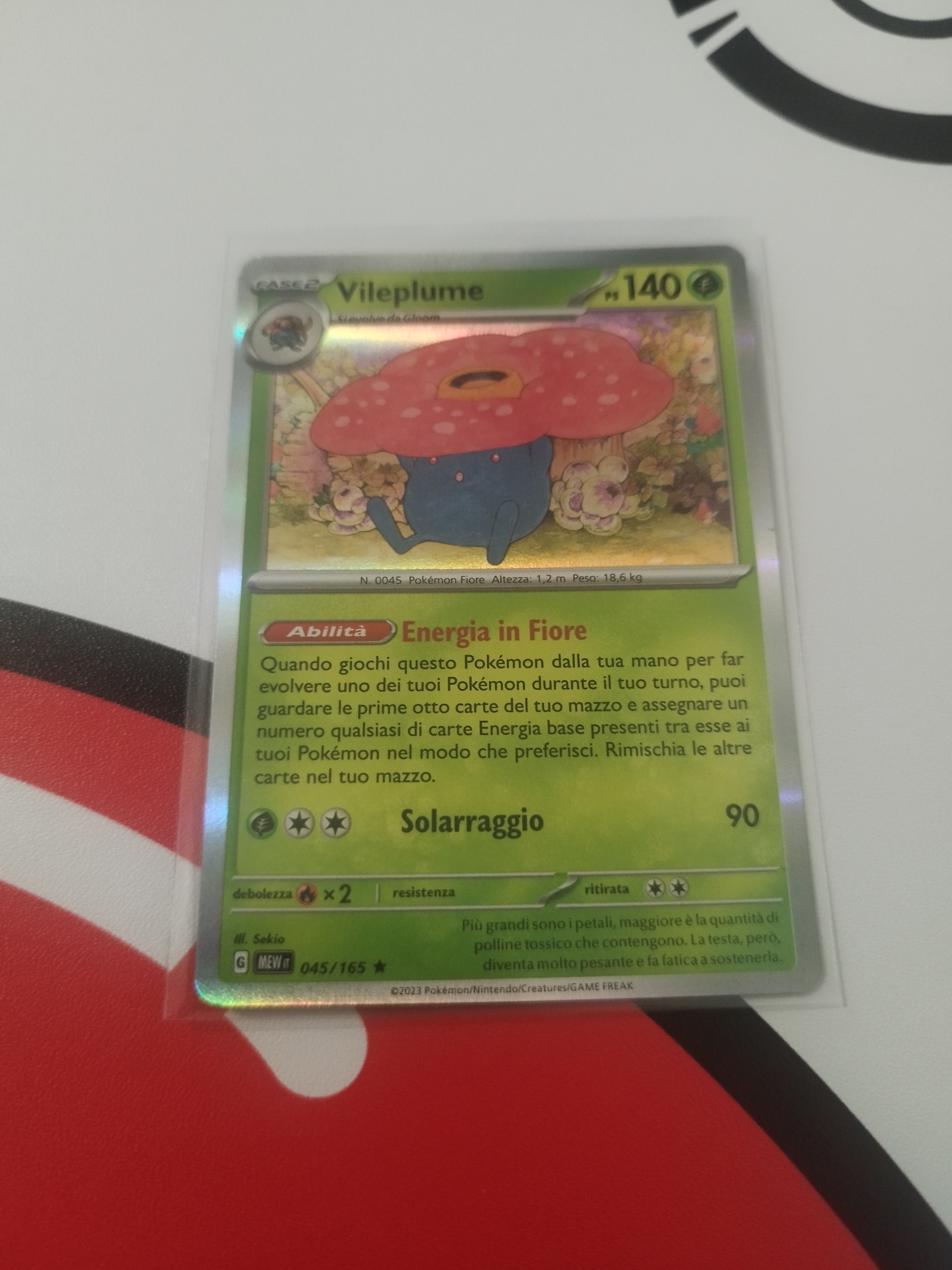 Auction Image 2
