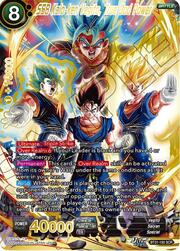 SSB Kaio-ken Vegito, True God Power