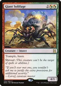 Giant Solifuge