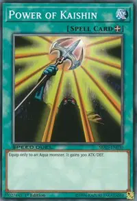 Power of Kaishin