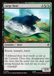 Large Bear