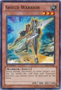 Shield Warrior