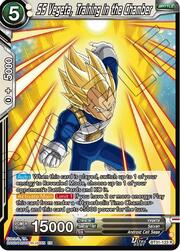 SS Vegeta, Training in the Chamber