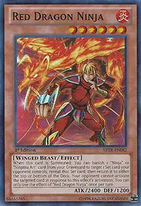 Red Dragon Ninja