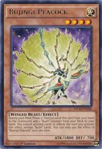 Bujingi Peacock
