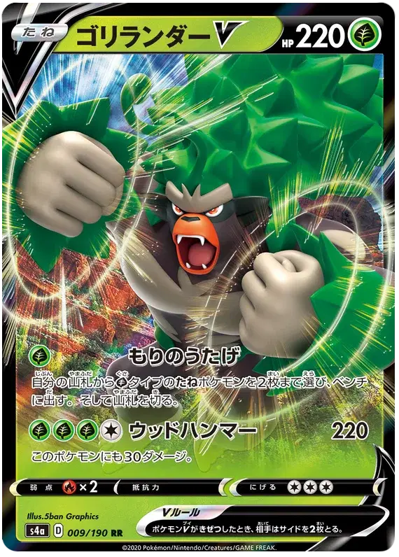 Auction card for Rillaboom V (JP)