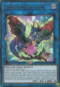 Crossrose Dragon