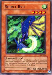 Spirit Ryu
