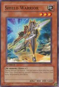 Shield Warrior