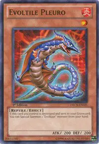 Evoltile Pleuro